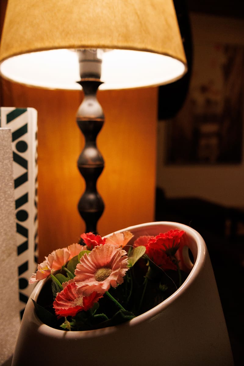 flowers, petals, vase, floor lamp, HD phone wallpaper
