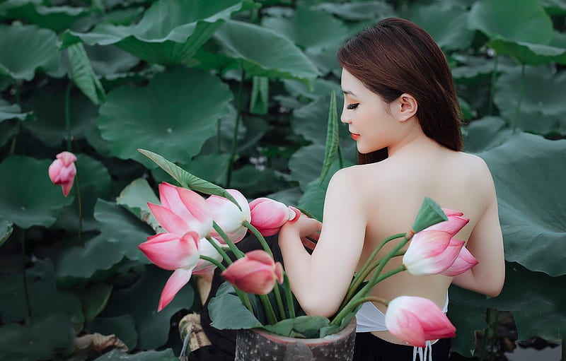 Beauty, lotus, model, girl, flower, asian, pink, HD wallpaper