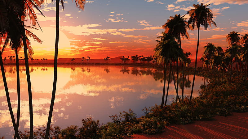 Sunset Oasis, bonito, sunset, sky, clouds, palm trees, sea, beach, oasis, island, HD wallpaper