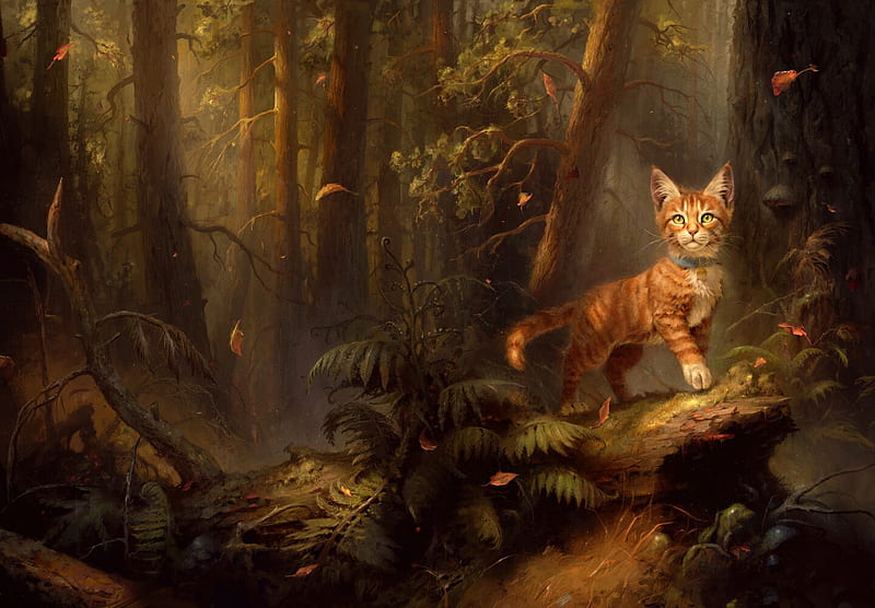 Into the wild, jedrzej chelminski, pisici, kitten, cat, wood, forest, frumusete, orange, luminos, ginger, fantasy, HD wallpaper