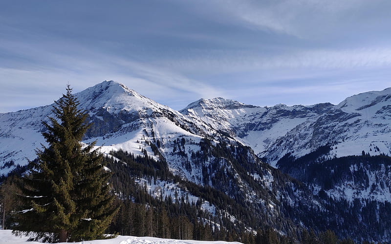 Hiking trail in Switzerland, winter, snow, peaks, clouds, alps, sky, trees, HD wallpaper