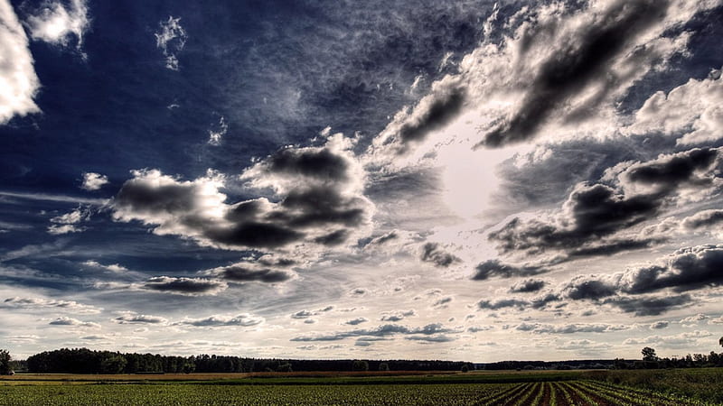 beautiful sky over cultivated fields, fields, sky, clouds, crops, HD wallpaper