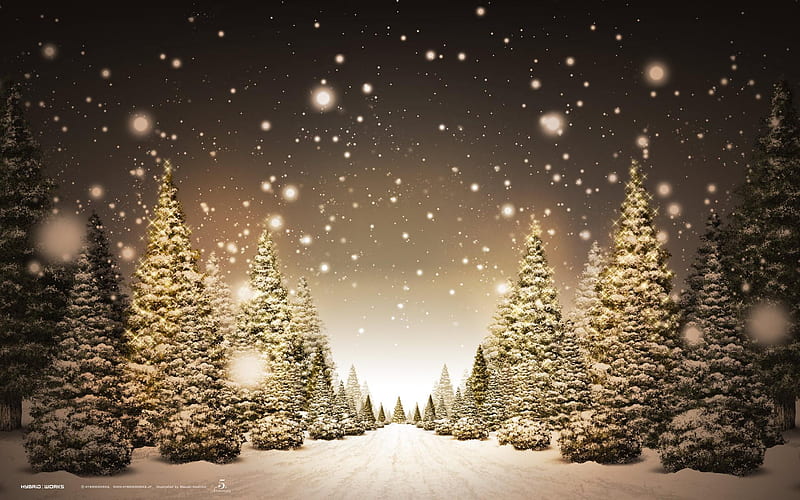 Sepia Snow, pretty, sepia, christmas, black, tan, tree, snow, path, lane, white, HD wallpaper