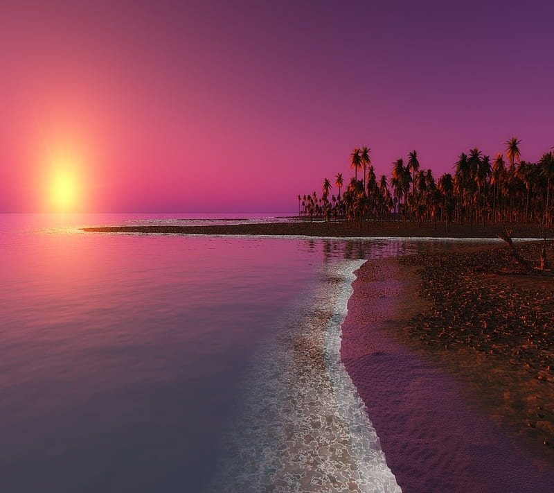 Sunset Beach, beach, landscape, nature, palm trees, sunset, HD wallpaper