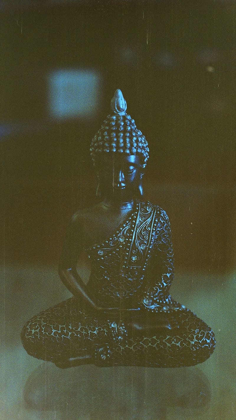 Lord Buddha Black Statue, lord buddha, black, statue, meditation, god, HD phone wallpaper