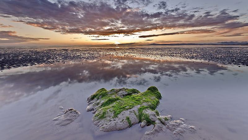Mossy Rock on the Beach, beach, shore, rock, moss, nature, clouds, sky, sea, HD wallpaper