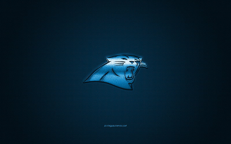 Carolina Panthers, American football club, NFL, blue logo, blue carbon fiber background, American Football, Charlotte, North Carolina, USA, National Football League, Carolina Panthers logo, HD wallpaper