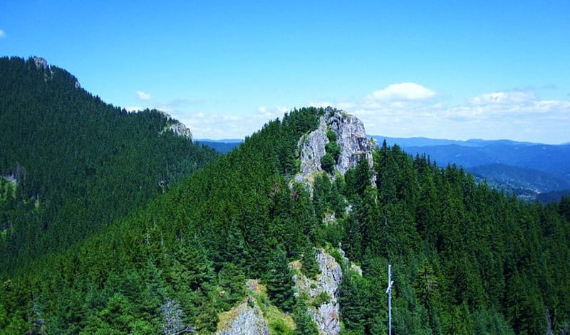Evergreen Top, forest, rocks, graphy, evergreen, mountaain, trees, top, bulgaria, HD wallpaper