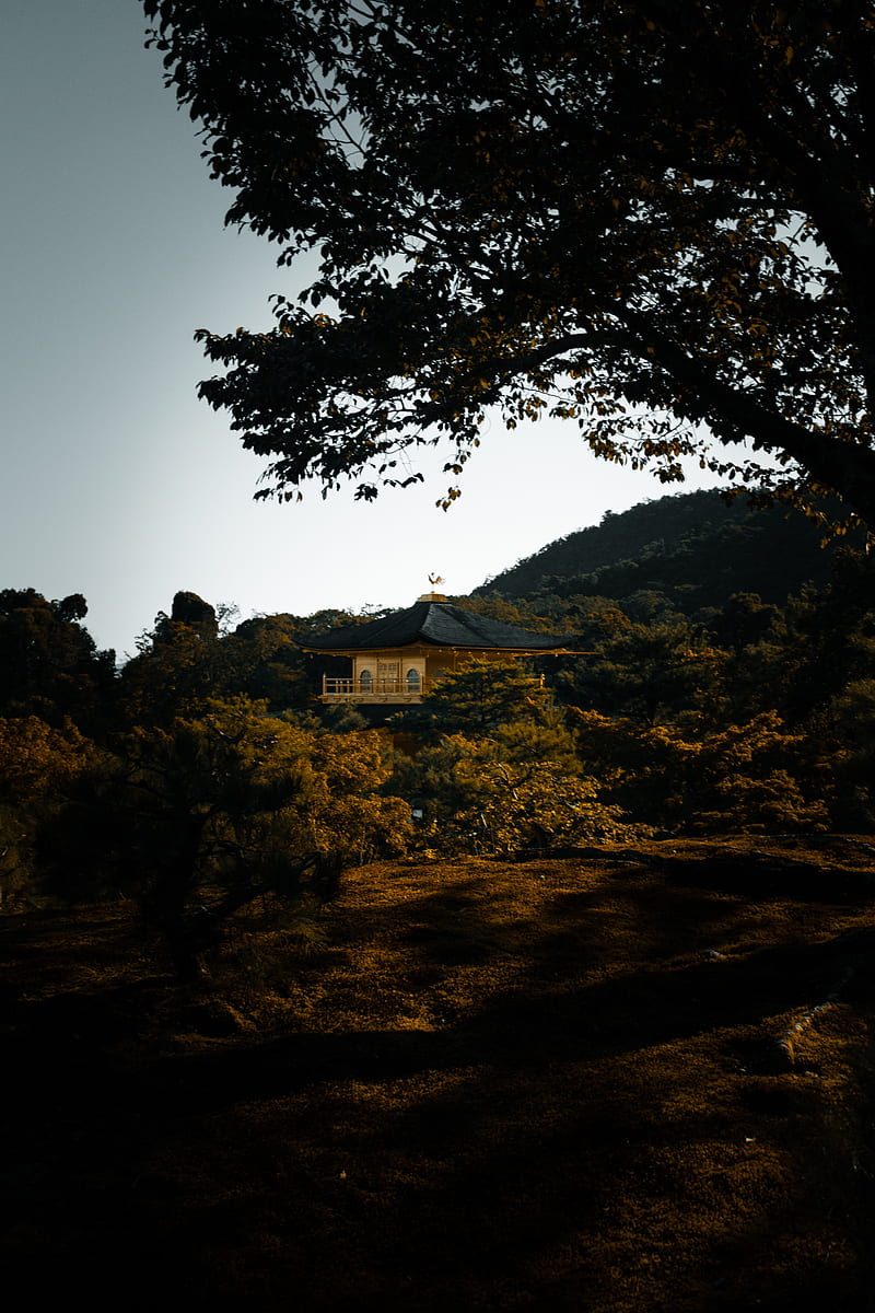 pagoda, temple, trees, hills, nature, HD phone wallpaper