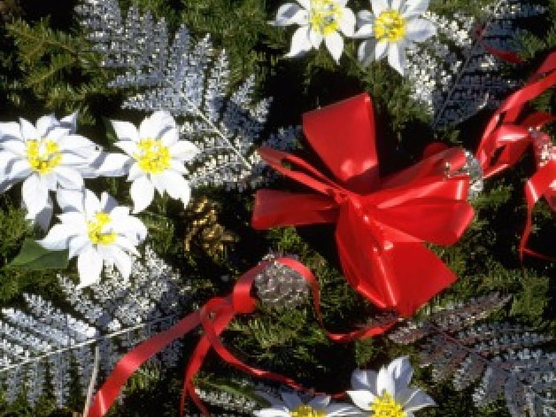 Christmas Jewelry, nice, holiday, flowers, bonito, HD wallpaper