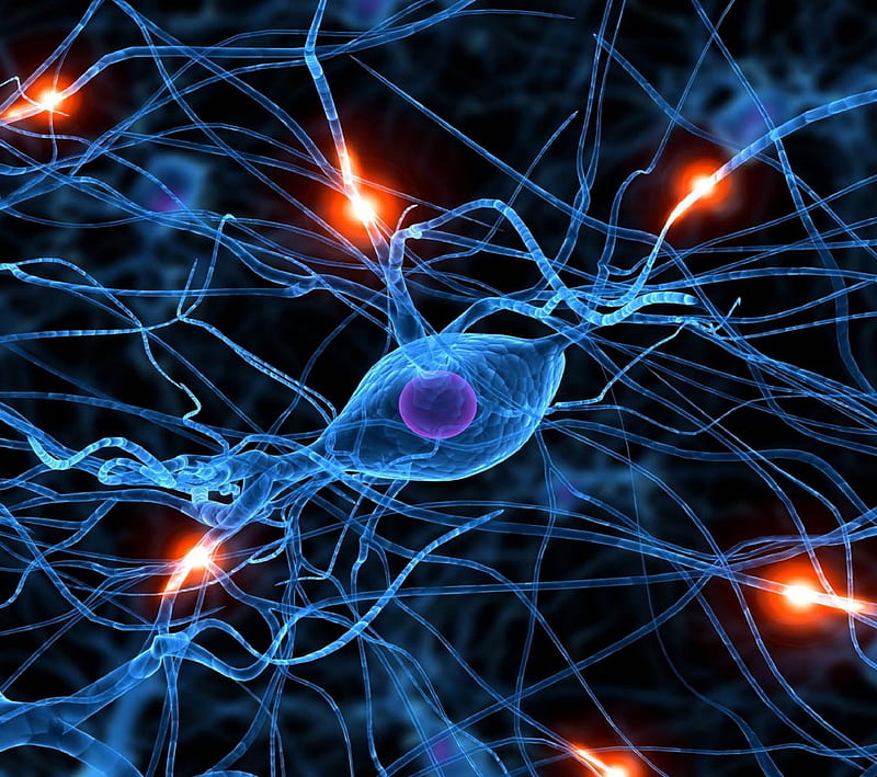 Neuron, cell, cool, dark, girl, human, life, sport, system, HD wallpaper