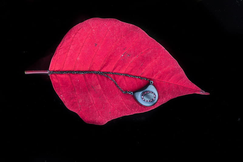 Leaf Oled , leaf, oled, graphy, dark, black, HD wallpaper
