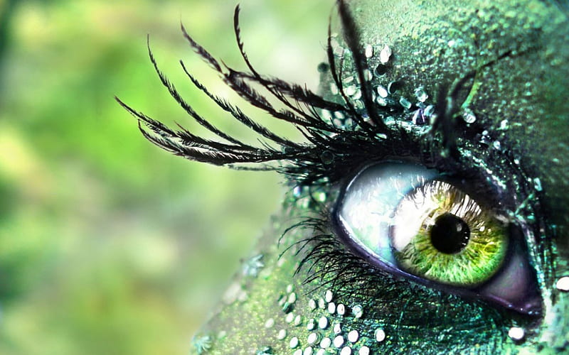 Green eye, avatar, green, eye, glitter, HD wallpaper