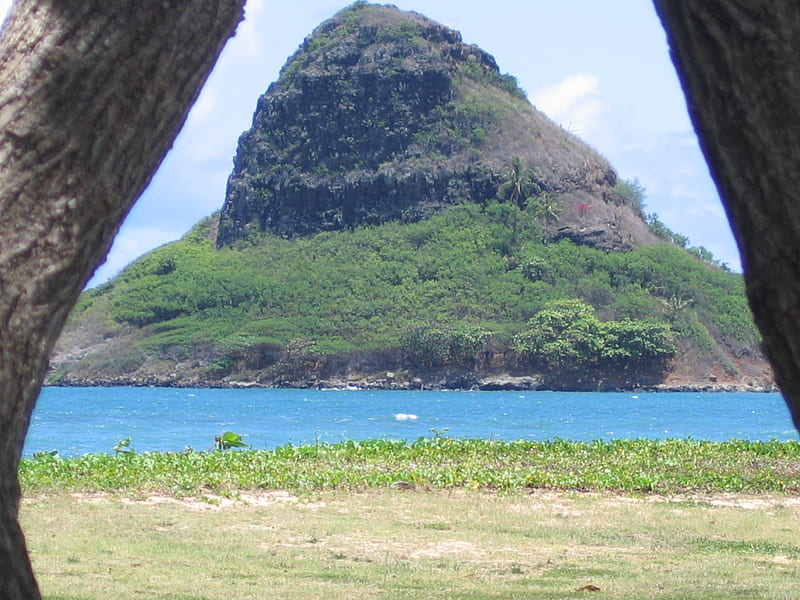 Chinaman's Hat, nature, island, green, hawaii, HD wallpaper