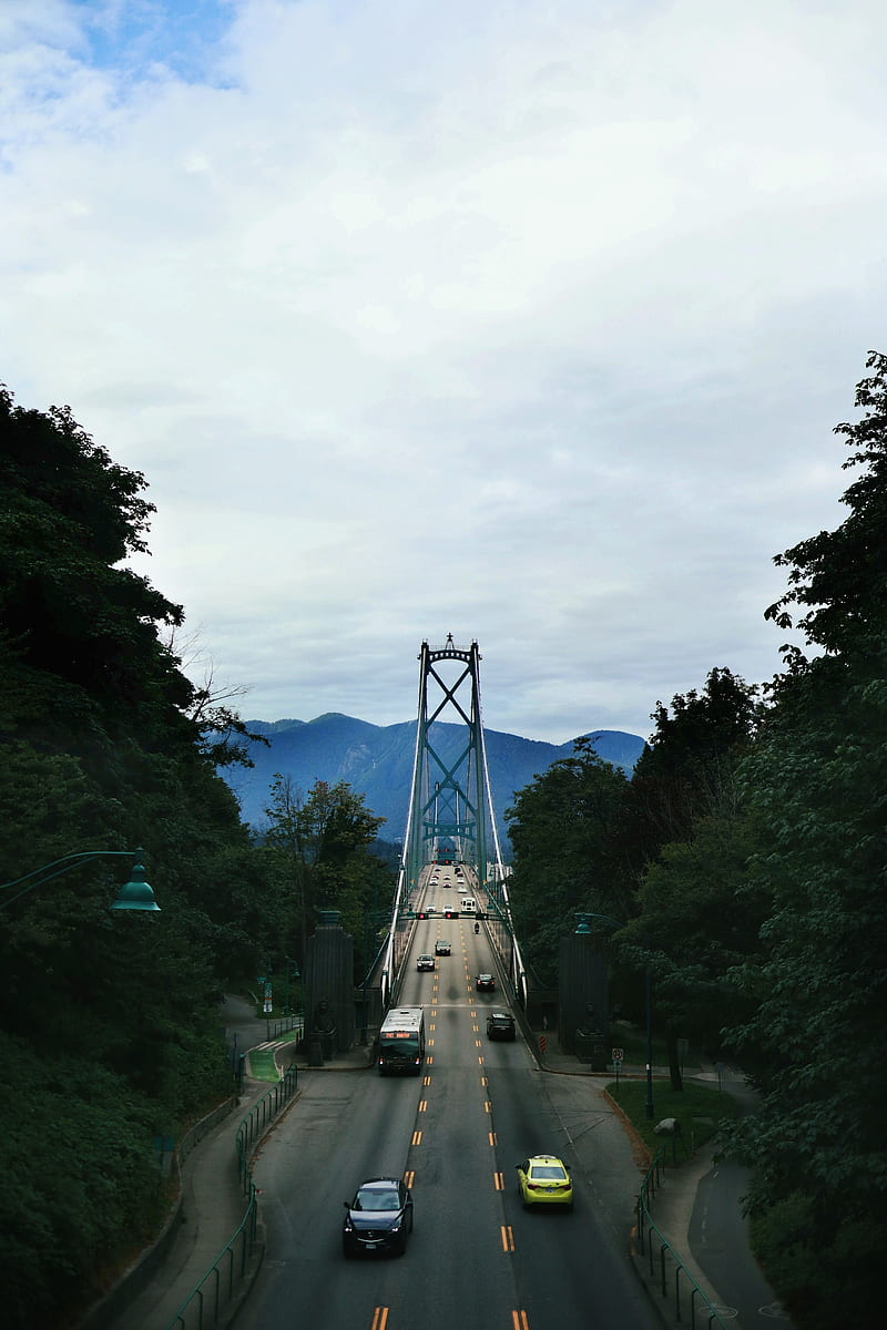 bridge, road, carros, trees, mountains, distance, HD phone wallpaper