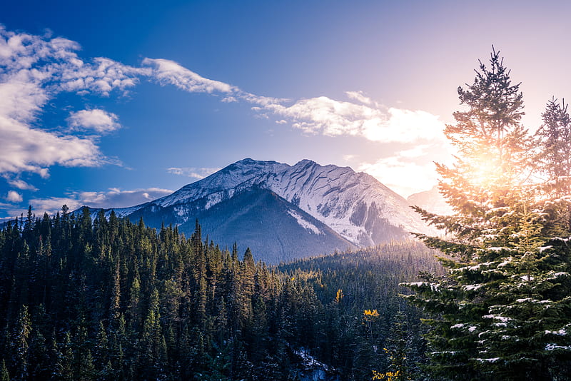 canada, sunlight, snowline, clouds, sky, trees, banff national park, Landscape, HD wallpaper