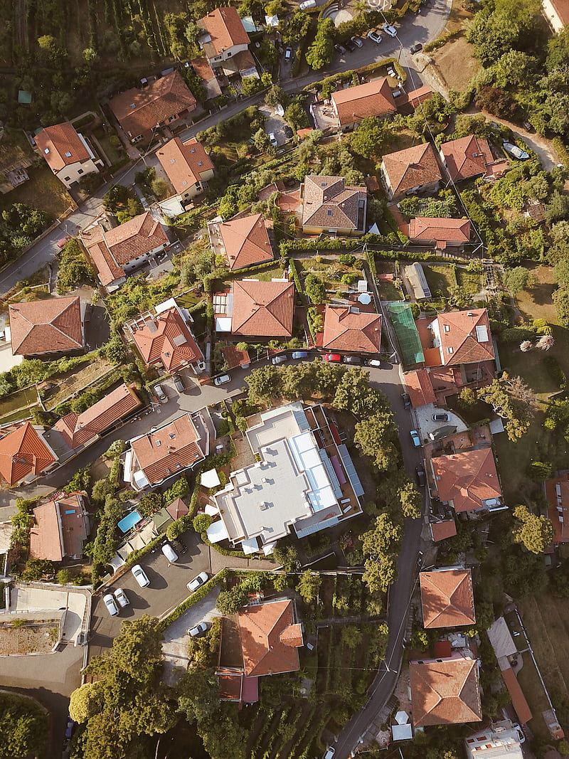 Aerial of brown buildings and trees, HD phone wallpaper | Peakpx