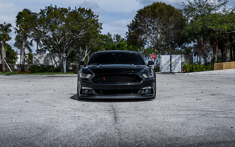 Ford Mustang, 2017, Muscle, front view, tuning, sports coupe, Black Mustang, HD wallpaper