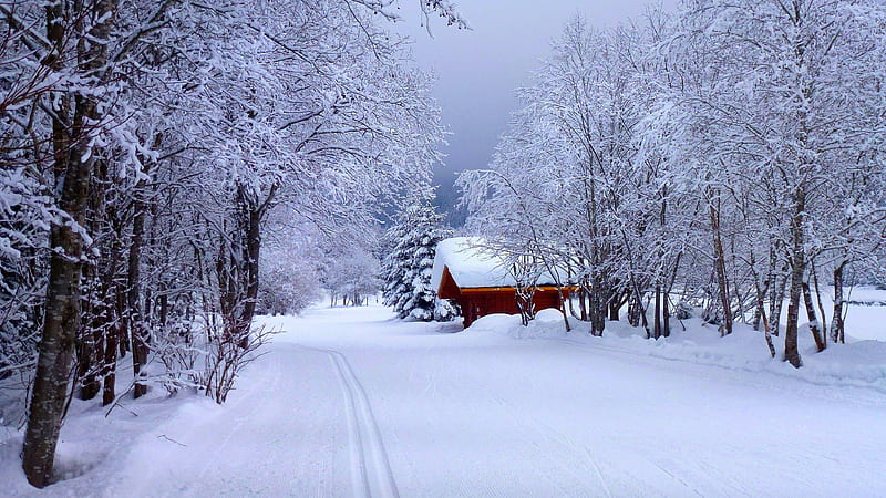Winter Road House Snow 2020 Nature Scenery, HD wallpaper