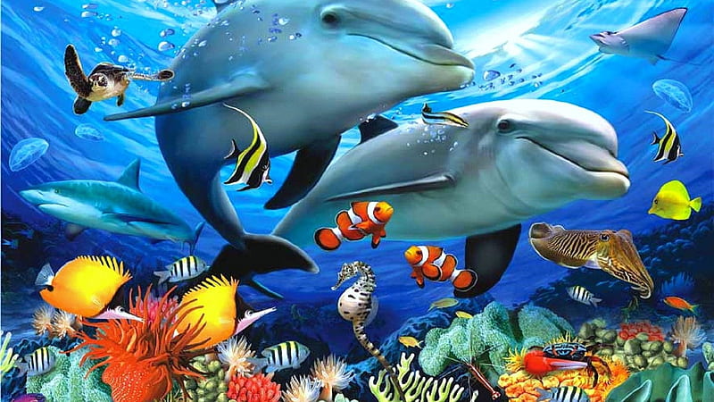 underwater landscape, reef, coral, fish, dolphins, ocean, HD wallpaper