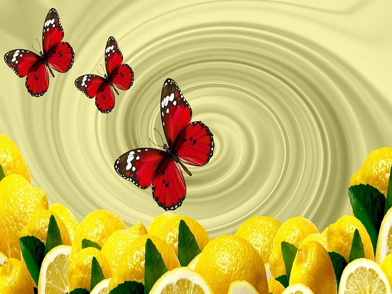 Butterflies, Lemon Artist, HD wallpaper