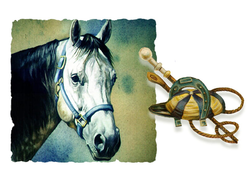 Blue Halter - Horse, halter, art, head, painting, equine, horse, artwork, dapple grey, HD wallpaper