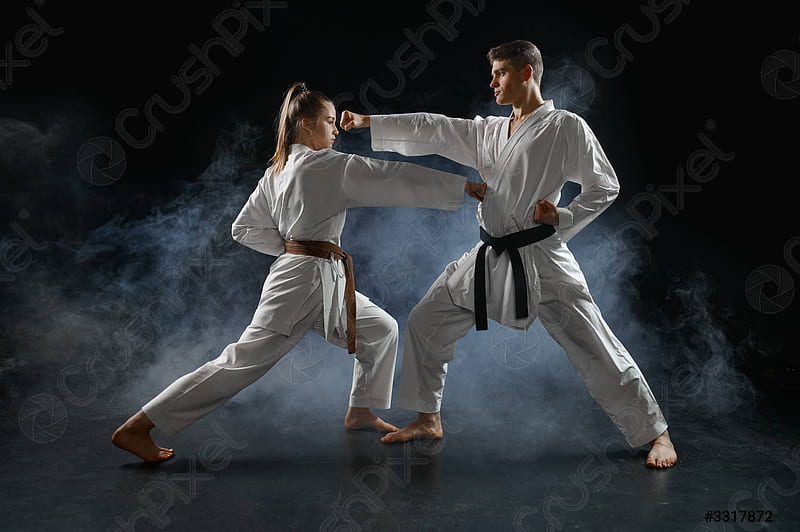 Female karate fighter on training with master - stock 3317872. Crushpixel, Girl Karate, HD wallpaper