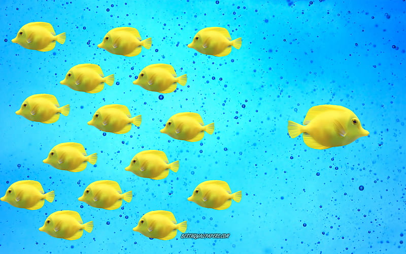 Be different, Aquarium, yellow fish, creative art, under water, be different concepts, HD wallpaper