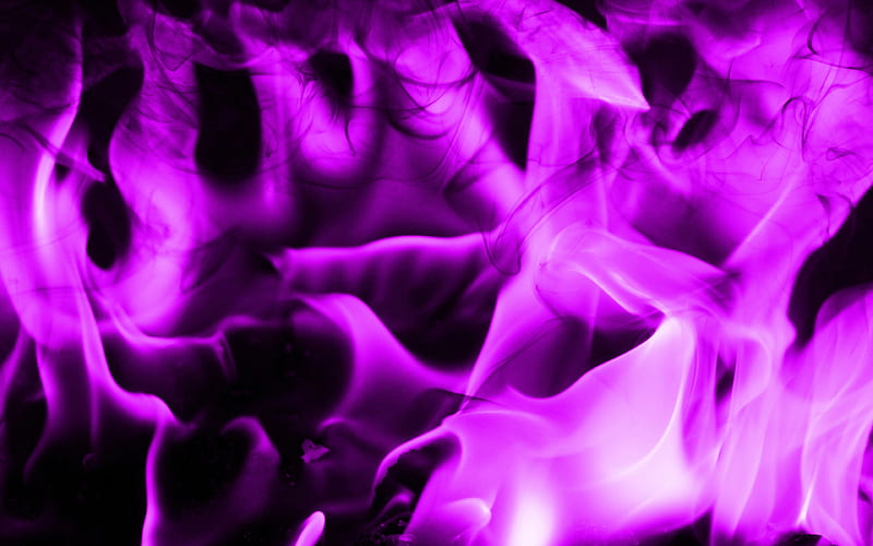 purple fire close-up, purple fire flames, purple bonfire, fire flames, purple fire texture, macro, fire textures, HD wallpaper