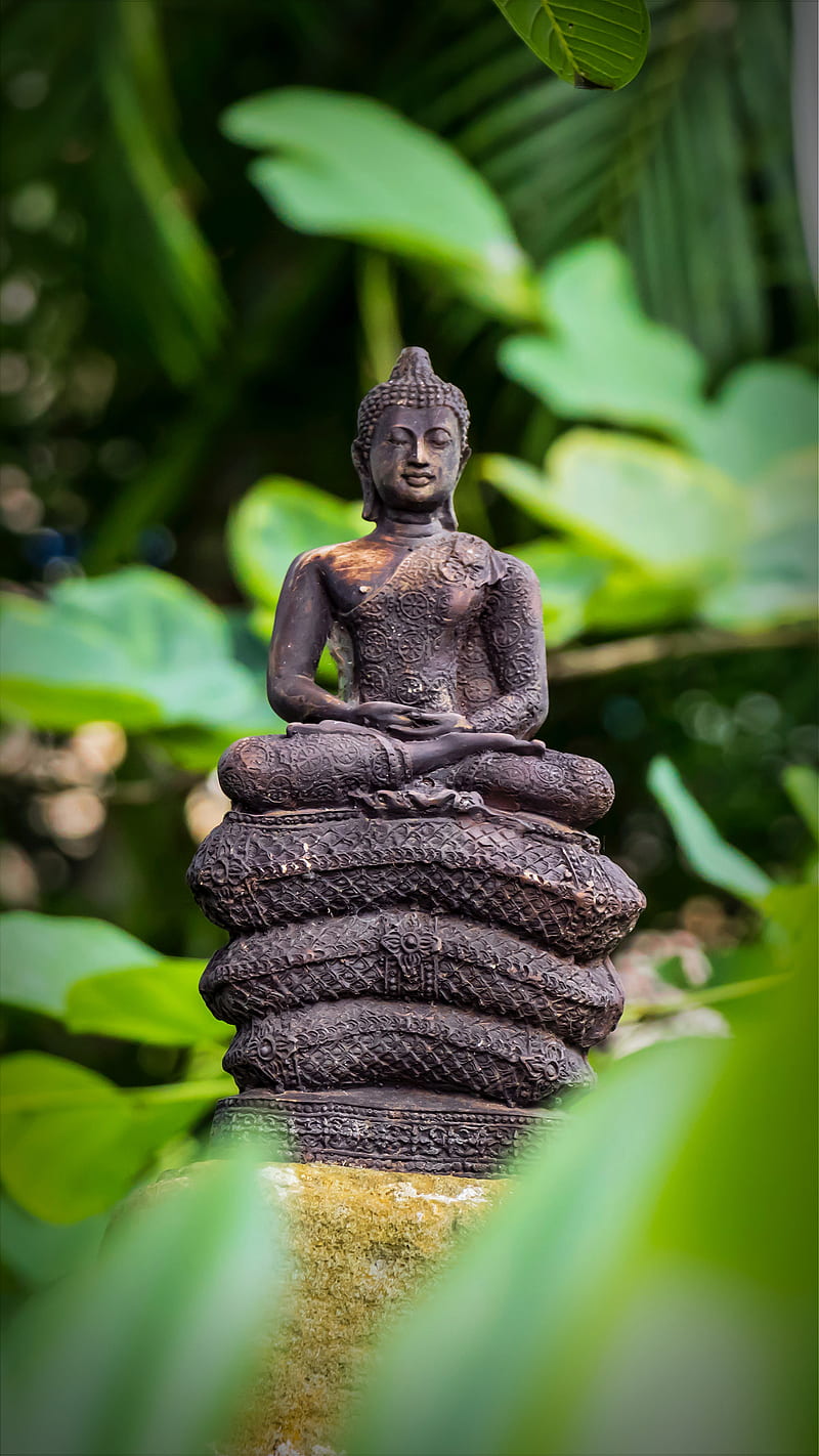Does a Neural Net have Buddha Nature? The science of AI 
