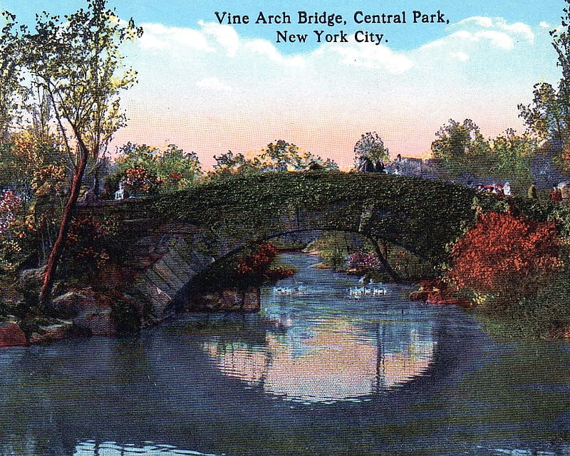 Vine Arch Bridge, Central Park, postcard, new york, america, 19th century, HD wallpaper