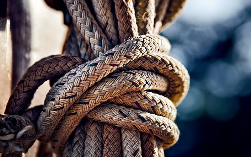 Rope, bay, knot, thick rope, HD wallpaper