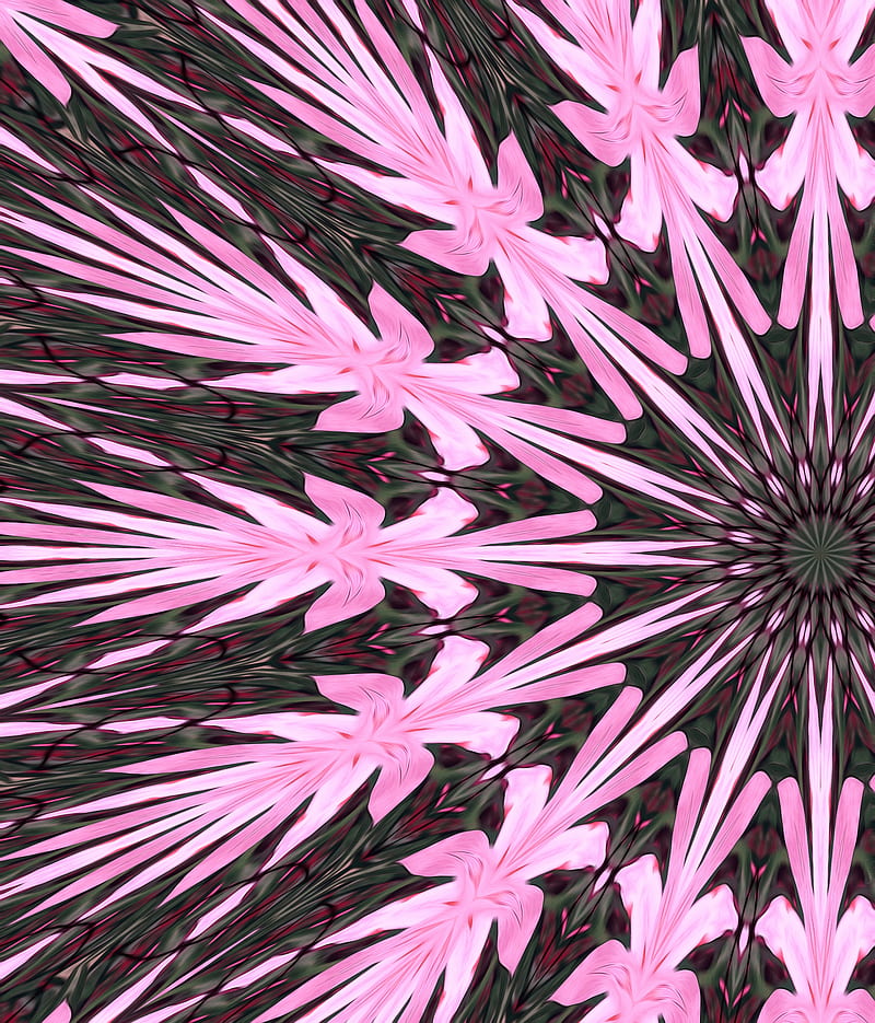flower, rose spirituel, vibration, HD phone wallpaper