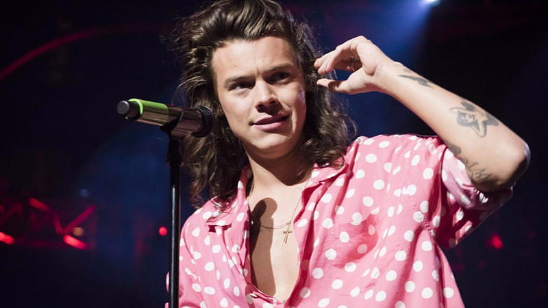 necesidad lotería Impedir Harry styles viste de rosa con camisa blanca redonda con cadena en el  cuello harry styles, Fondo de pantalla HD | Peakpx