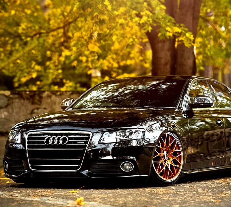 Audi Car Wallpapers  Top Free Audi Car Backgrounds  WallpaperAccess
