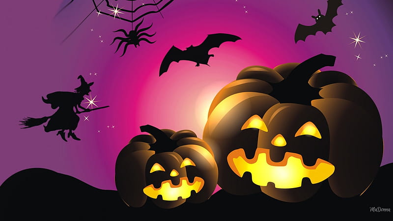 Witches Fly, stars, bats, jack o lanterns, witches, spider web, creepy, bright, spiders, scary, Halloween, pumpkins, HD wallpaper