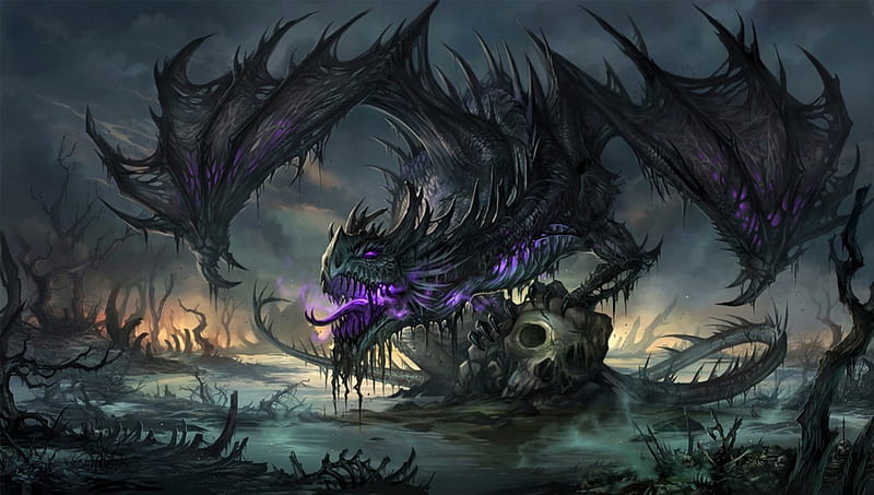 Plague Dragon, plague, purple, black, dragon, skull, HD wallpaper