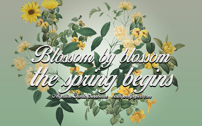 Blossom by blossom the spring begins, Algernon Charles Swinburne Quotes, quotes about spring, quotes about nature, quotes about flowering, floral background, creative art, HD wallpaper