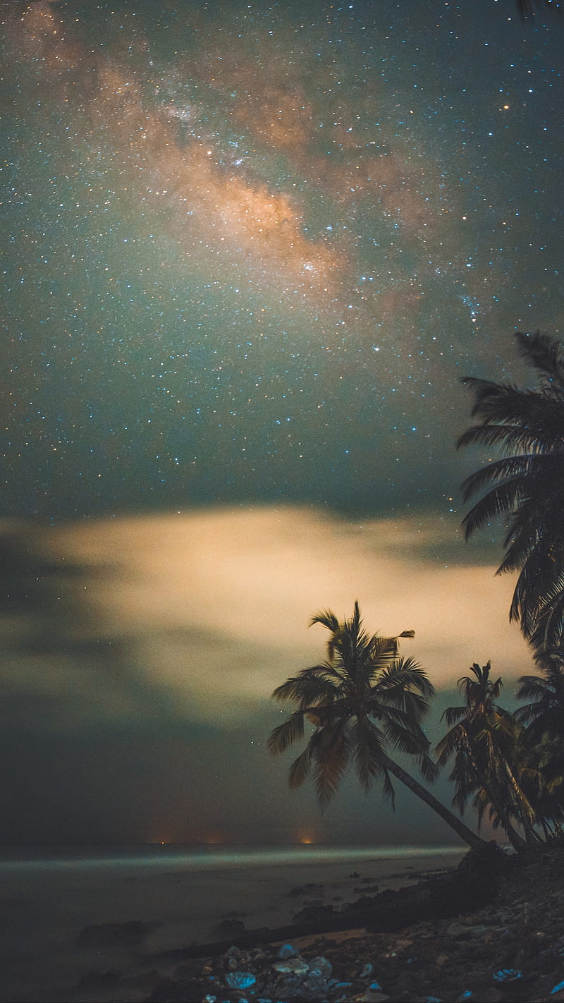 Exotic Galaxy, beach, landscapes, natural, palm tree, space, stars, sunset, HD phone wallpaper