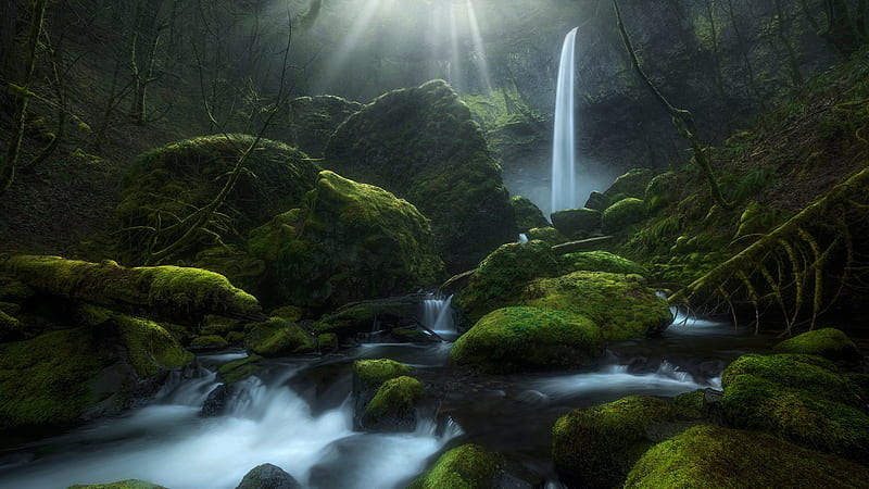 Waterfalls Waterfall Elowah Falls Greenery Moss Nature Oregon