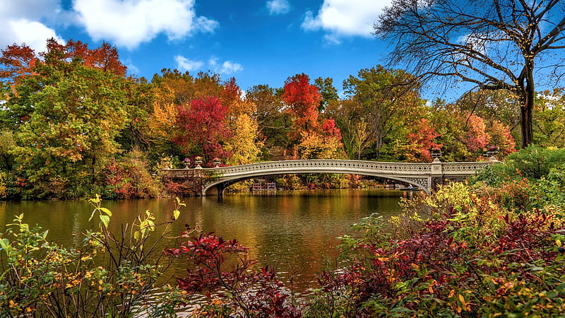 Central Park at Fall, NY, leaves, clouds, bridge, trees, colors, autumn ...