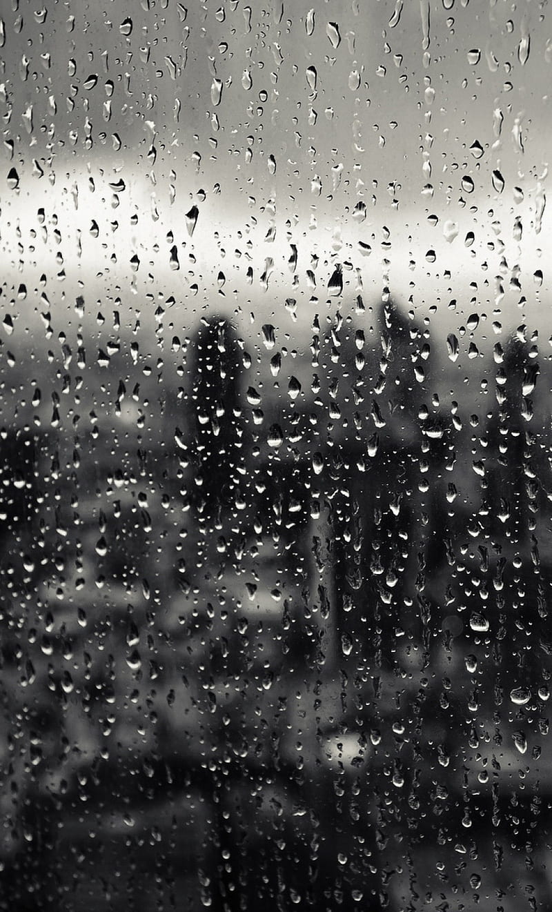 Rain Drops, Nature, Window, Hd Phone Wallpaper 