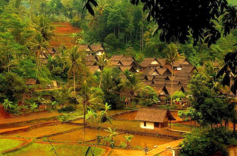 Village-Java-Indonesia, indonesia, java, village, bonito, HD wallpaper