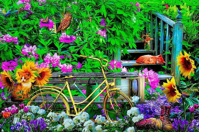 Come play in the garden, owl, sunflowers, blossoms, bicycle, kittens, stairs, shoes, HD wallpaper