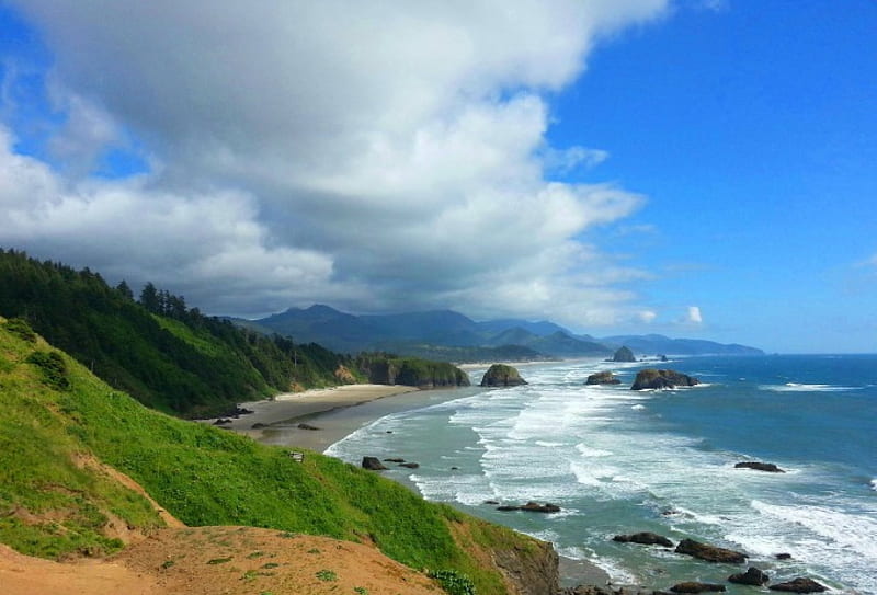 Oregon coast, oregon, cool, ocean, nature, fun, HD wallpaper