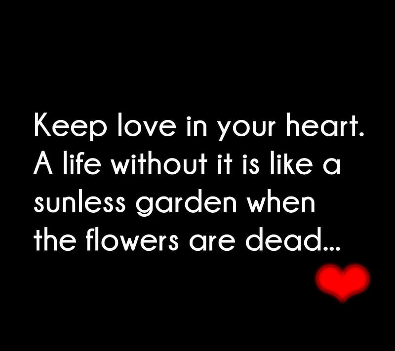 Keep Love, Love, Sayings, Hd Wallpaper 