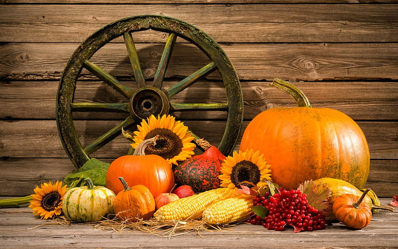 Autumn Harvest, Fall, straw, still life, fruit, leaves, sunflowers, flowers, wheel, wood, corn, harvest, apples, wagon wheel, berries, Autumn, vegetables, pumpkins, HD wallpaper