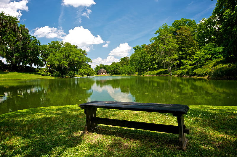 Bench, seat, plantation, country, sky, water, green, empty, fields, reflection, blue, HD wallpaper