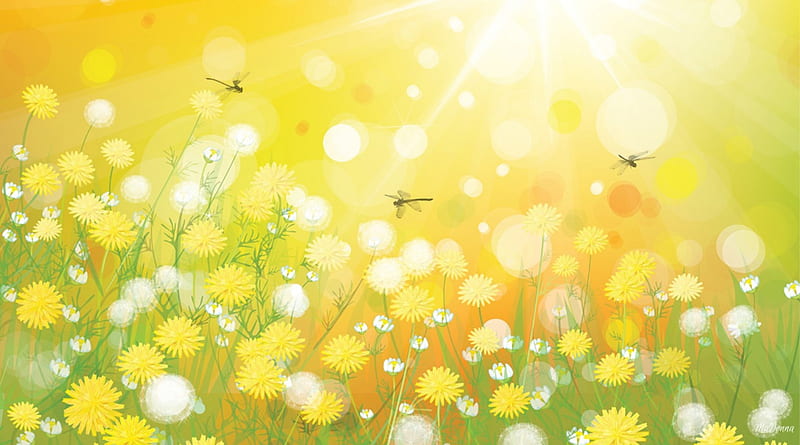 Dandelions and Dragonflies, weed, dandelions, yellow, sunny, spring, seeds, gold, dragonflies, bright, summer, flowers, sunshine, light, fluff, HD wallpaper