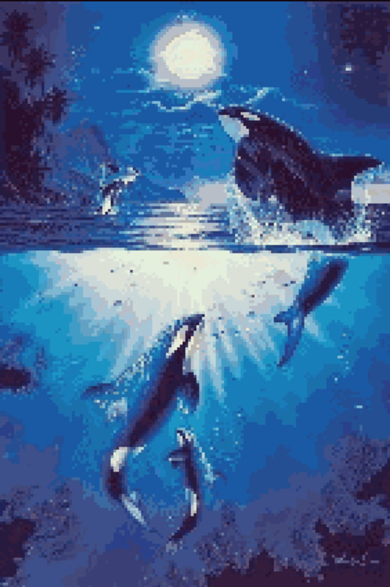 Moonlight Orcas, beach, blue, palm trees, star, underwater, whale ...